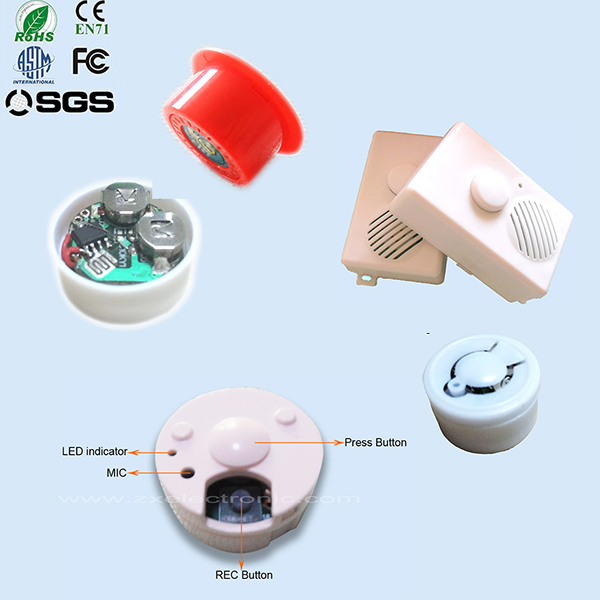 Custom Motion Sensor Sound Box and Talking Motion Sensor