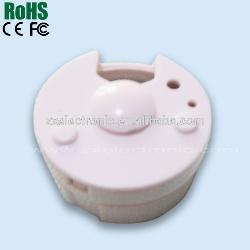 Custom voice record/playback device for toys