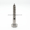 Tornillo de madera de cabeza hexadecimal SS316 DIN571 Métrica 