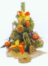 Christmas Gifts Bkc0353