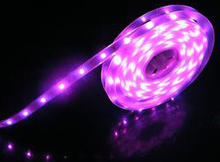 Flex LED Light Bkflex053