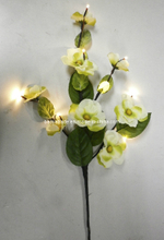 LED String Light BKLED0146