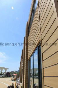 La bonne qualit&eacute; respectueuse de l'environnement Facile-Montent le panneau de mur en plastique en bois du compos&eacute; WPC