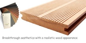 El panel de pared de WPC/Decking de Vinyle/revestimiento de madera al aire libre del suelo/de la pared