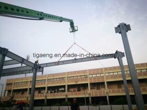 Edificio ligero prefabricado del almac&eacute;n de la estructura de acero del Grande-Palmo