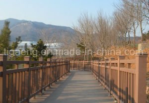 Suelo impermeable resistente al fuego del Decking de WPC para el jard&iacute;n