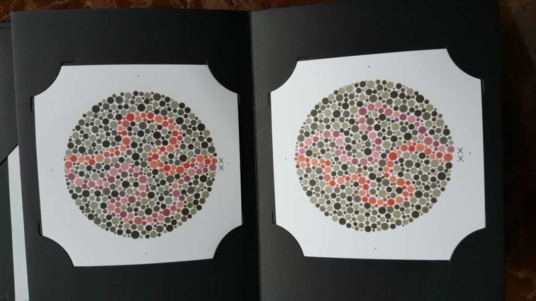 Ishihara Color Test Book