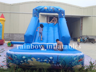 RB7009 (8.2x2.4x3.7m) Inflatable Water Slide With Pool For Outdoor Playground, Inflatable Sea World Animals Water Sldie