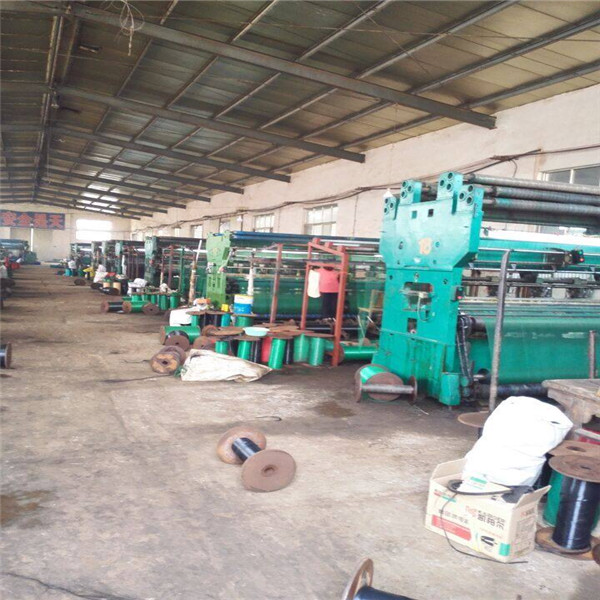 11667512_887153374691409_9024978053206230641_n