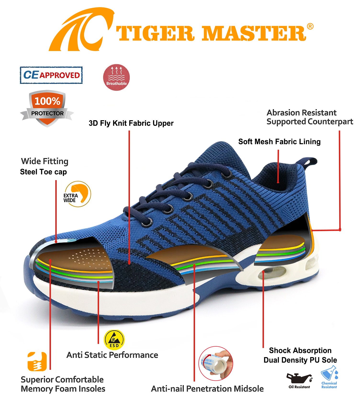 TM259 SAFETY SHOES 9(1)