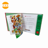 Hot Digital Customized English Speaking Bilingual Arabic Children 60 Smart Audio Story Book Books