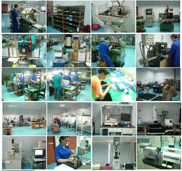 High Precision Customized Transmission Gear Shaft Gear for Various Machinery