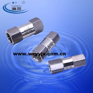 Stainless Steel NPT Check Valve