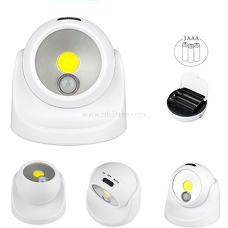 3W Dry Battery Motion Sensor Light