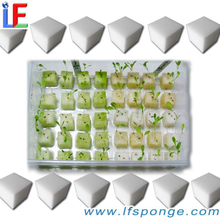 Soilless Cultivation Sponge