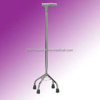 Walking Stick