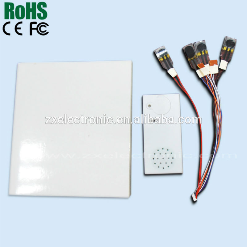 Custom Own Design Shape and Music Sound Module For Audio Books