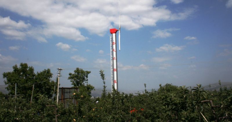 农业风机/风扇的猕猴桃和Kiwiberry树（FSJ-85）