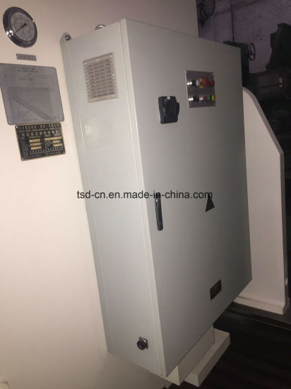 Prensa plegadora CNC grande para placa de metal (WE67K-300/6000)