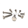  M6 M8 M10 Titanio Grado 5 Titanio Hex Bolt