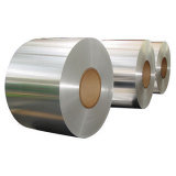 Aluminum/Aluminium Coil/ Coated Coil