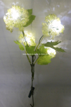 LED String Light BKLED0182