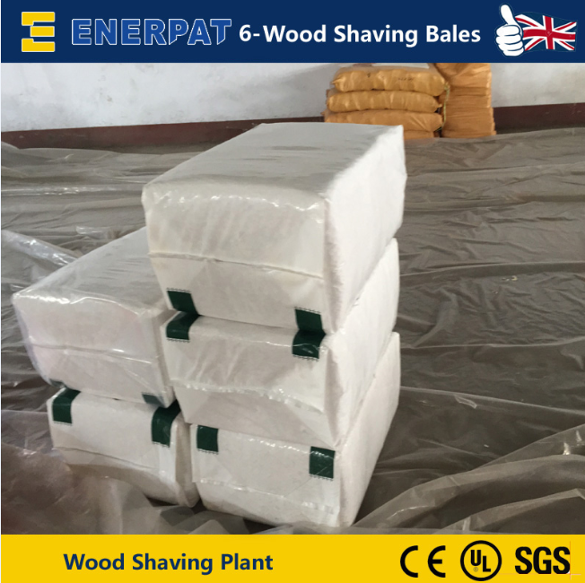 Wood Shaving Plant Install In China 2015