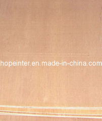 Commercial Plywood (HL032) -BB/CC Grade for Furniture