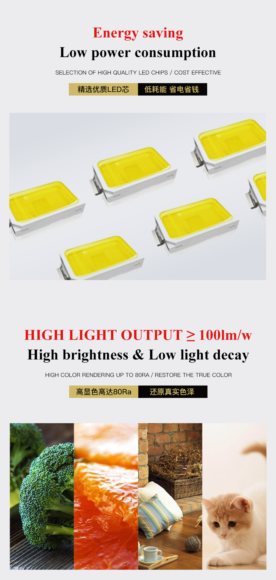 A70 LED Dimming Bulb