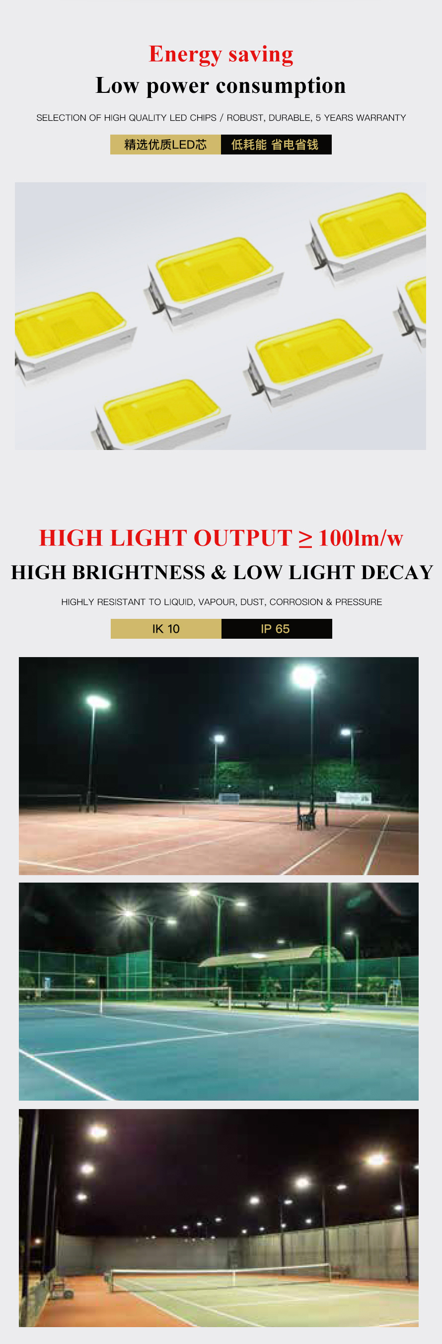 FL33 Series Driverless LED Flood Light