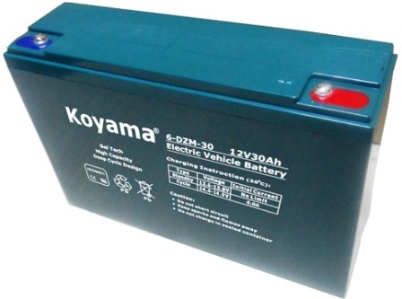 Electric Bike/Motor Battery 