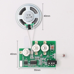 Blank 60 Seconds Re-recordable Module by Audio Line From Computer Phone for Custom DIY Sound Card Audio Play Sound File Studio