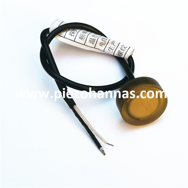 Profundidad de transductor ultras&oacute;nico submarino de 2MHz para el buscador de rango ultras&oacute;nico