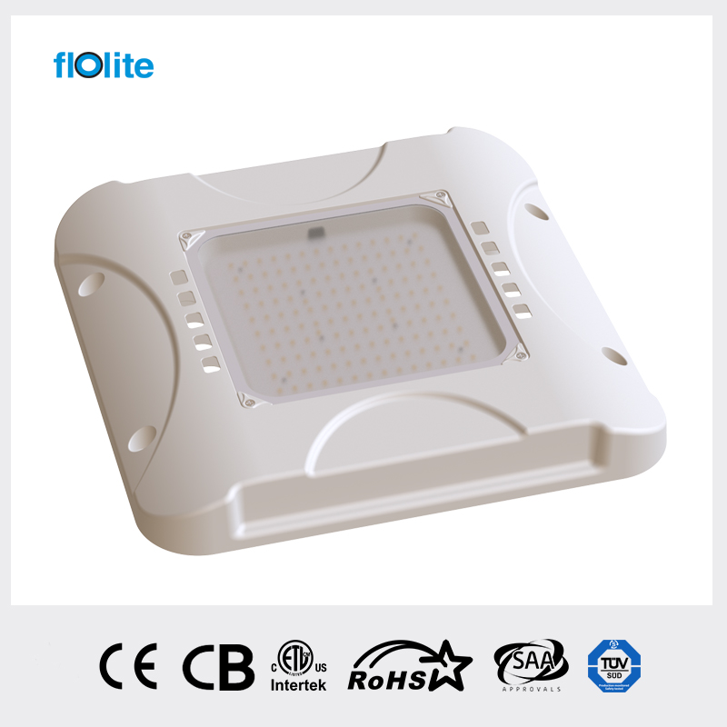 CP05A LED Canopy Light