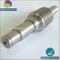 High Precision Micro/Mini Worm Gear, DC/AC Brass Worm Gear
