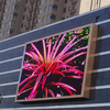 P10 DIP 960mmx960mm para publicidad exterior Panel de pantalla 7500 liendres LED comercial Billboard Display