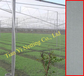 Anti Insect Net