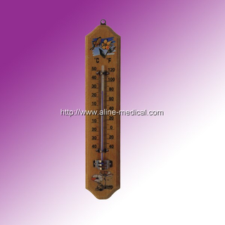 Family Thermometer
