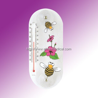 Indoor Thermometer