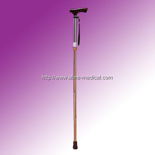 Walking Stick
