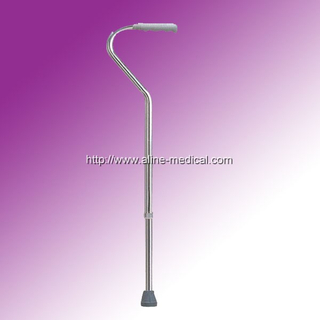 Walking Stick