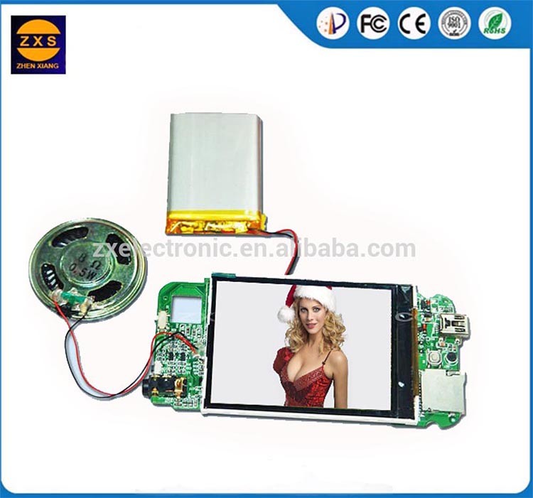 LCD brochures video card chips