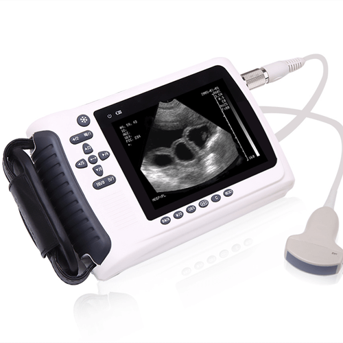  Ten Things You Should Know About Piezo Discs And Cylinders. 