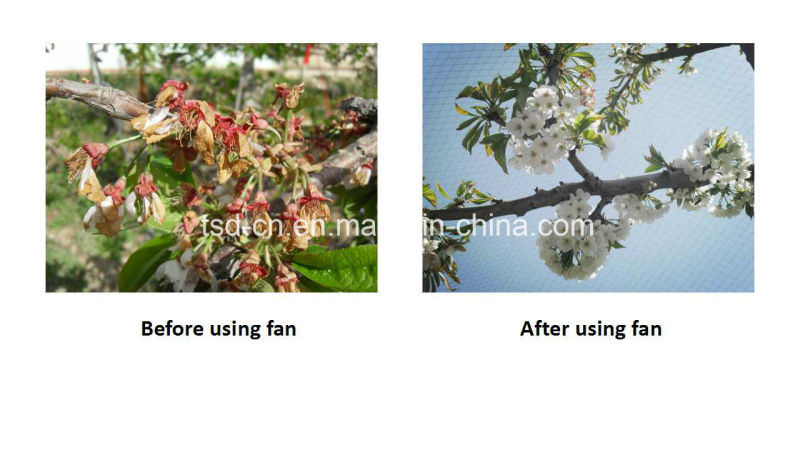 风机/风扇在葡萄园或果园（FSJD-5.5）