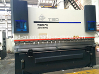 Prensa plegadora CNC de flexión pequeña 250t (WE67K-250/4000)