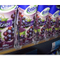 Adjustable Shelf Divider SD006