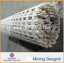 البوليستر التعدين Geogrid