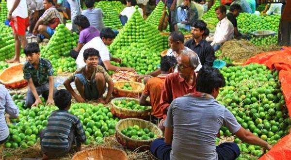 印度企业呼吁农药减税降价 提升农业生产力