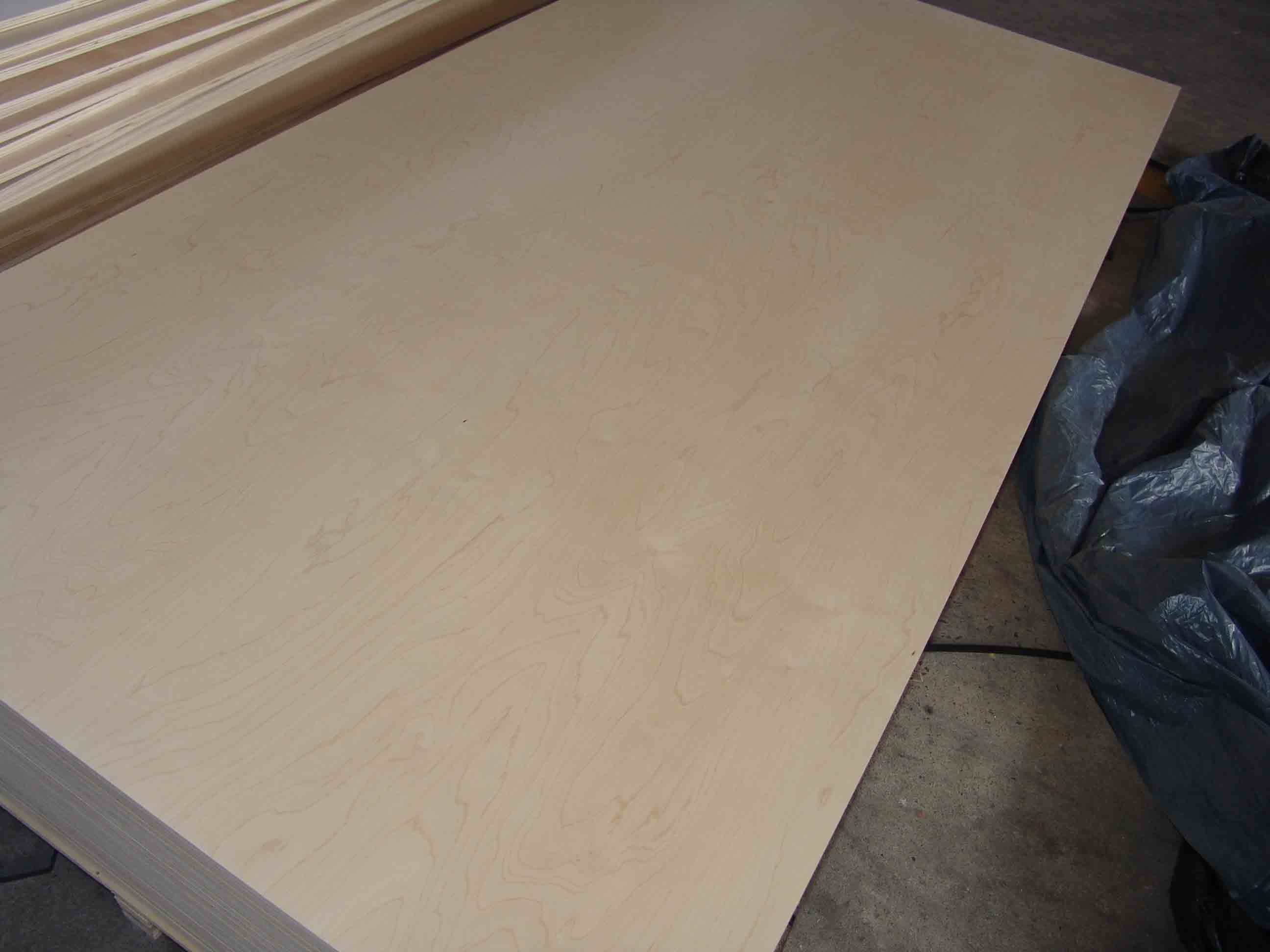 birch plywood