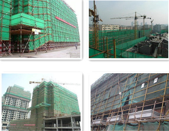 scaffolding net.jpg